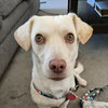 Cheddar - Photo 2