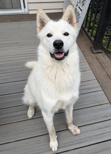 Xarpo photo 1