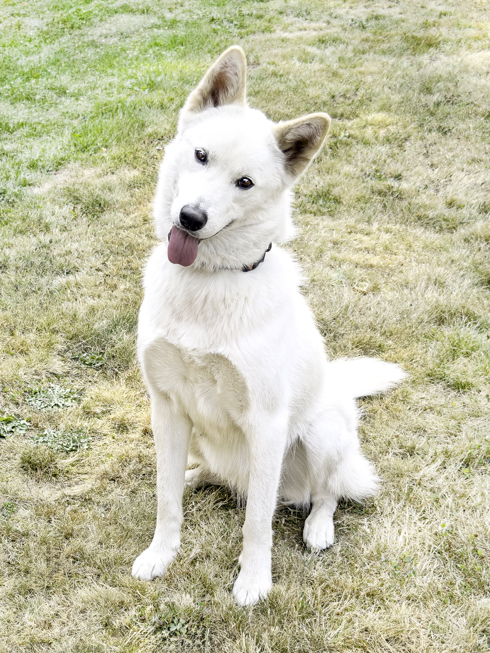 Xarpo, photo 2