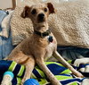 Billy - Photo 3