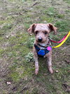 Billy - Photo 5