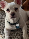 Calvin - Photo 7