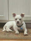 Calvin - Photo 2