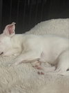 Calvin - Photo 9