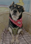 Benny - Photo 1