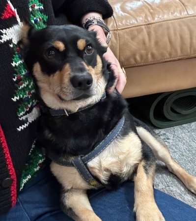 Benny
