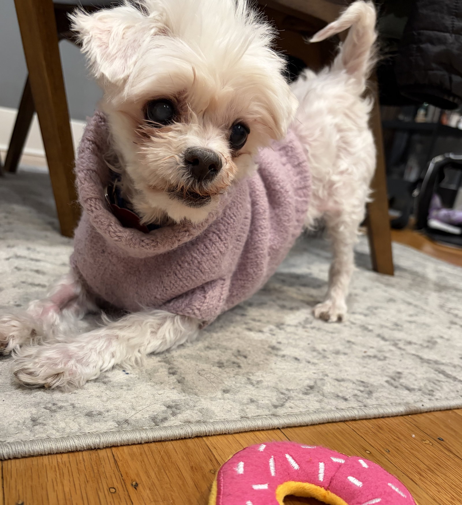 Lexi Image