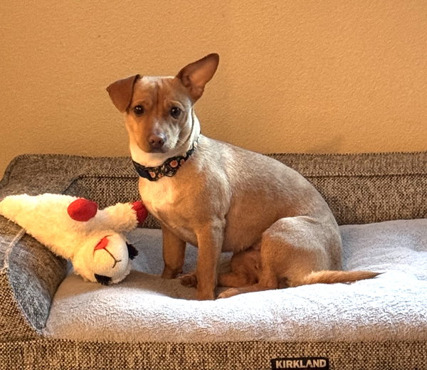 Coco