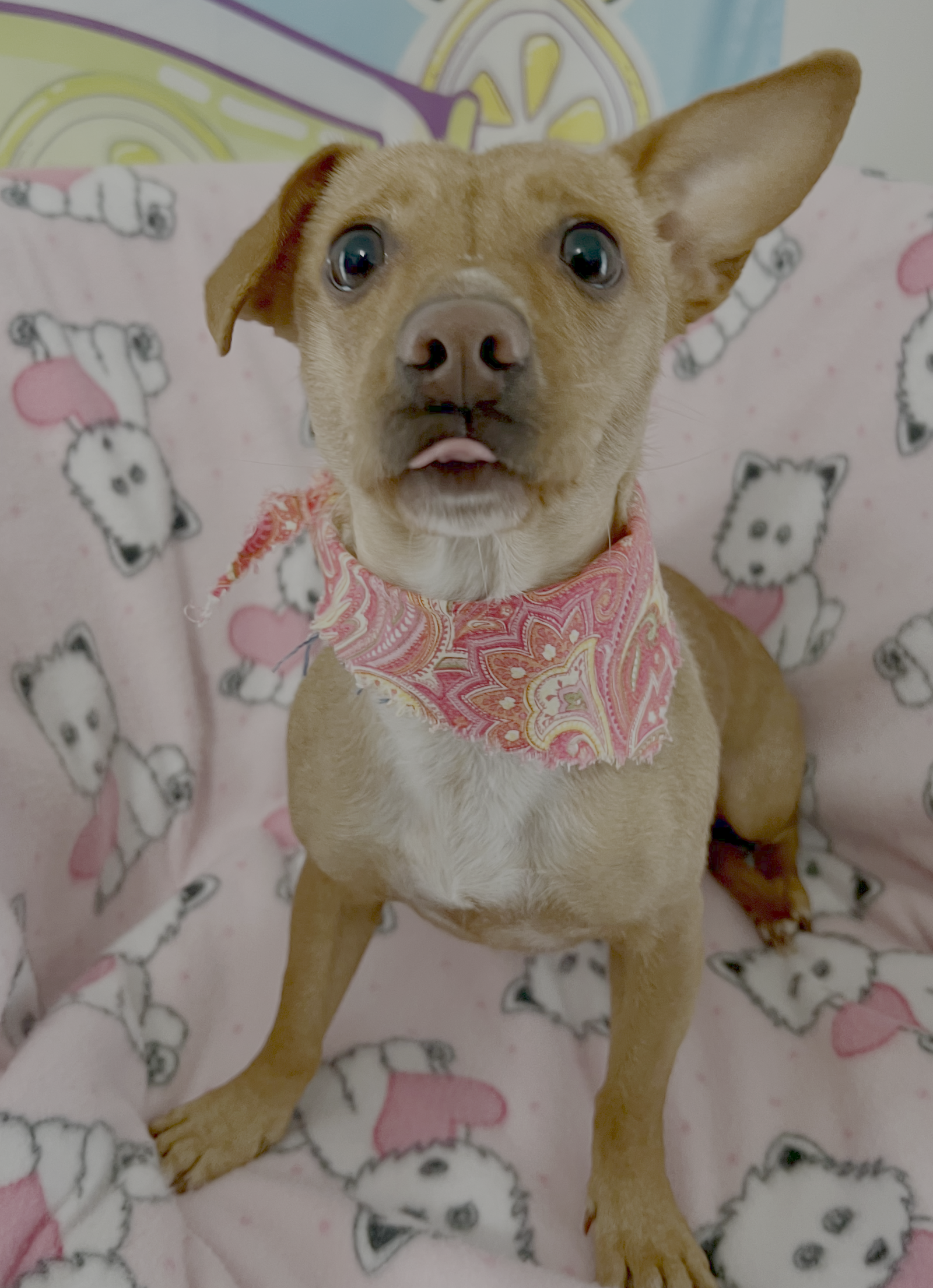 Coco