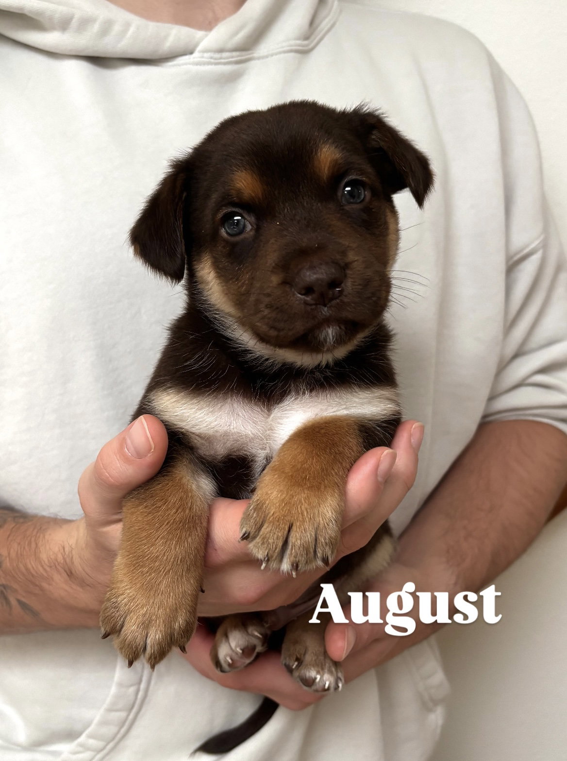 August Image