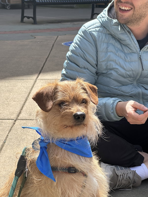 Bowie