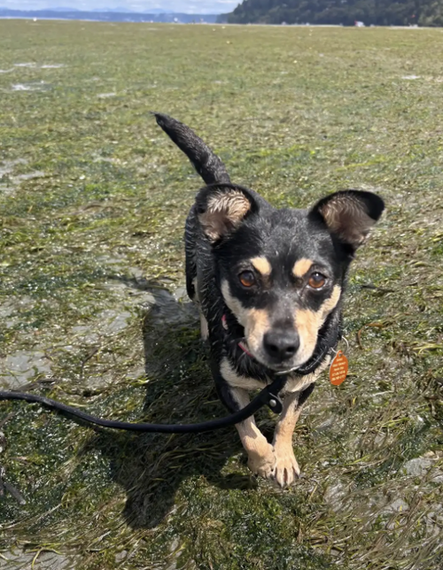Winnie photo 1