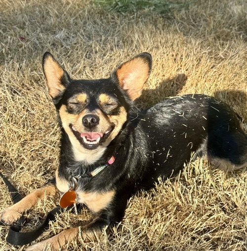 Mimi photo 1