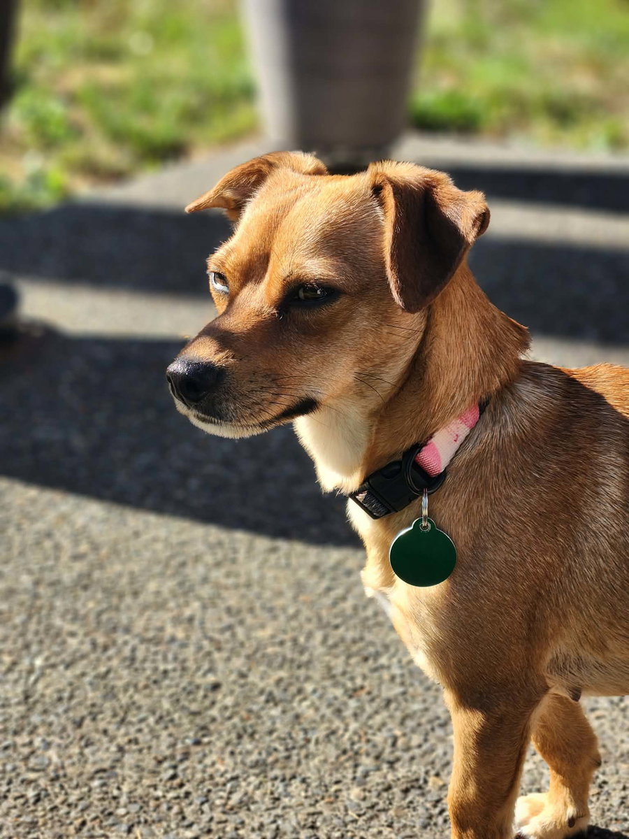 Lucy