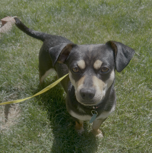 Buster