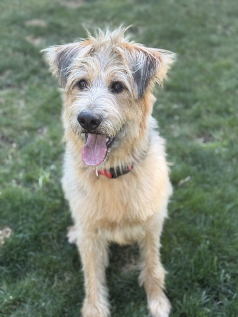 Arthur