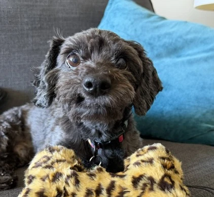 Charlie