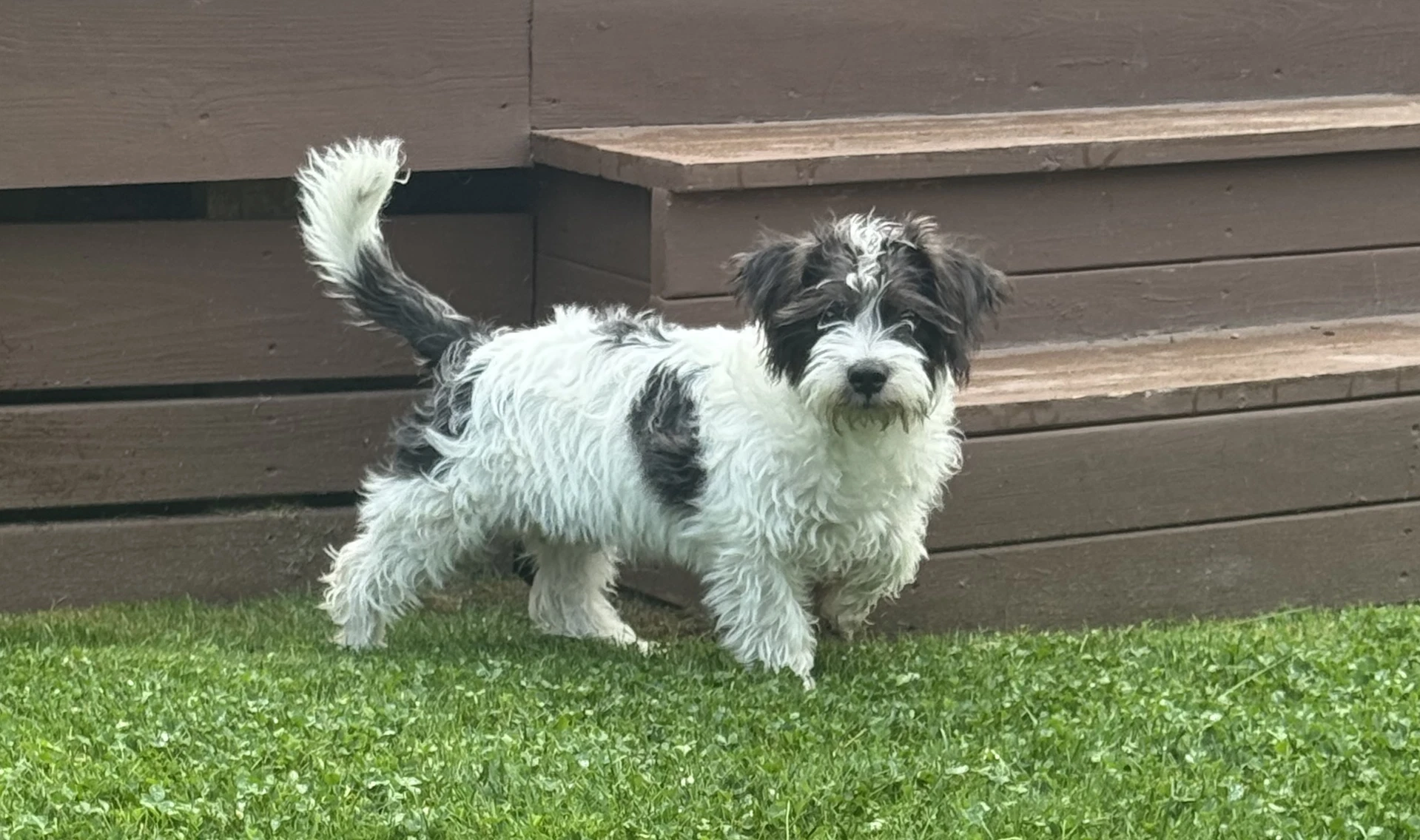 Marley