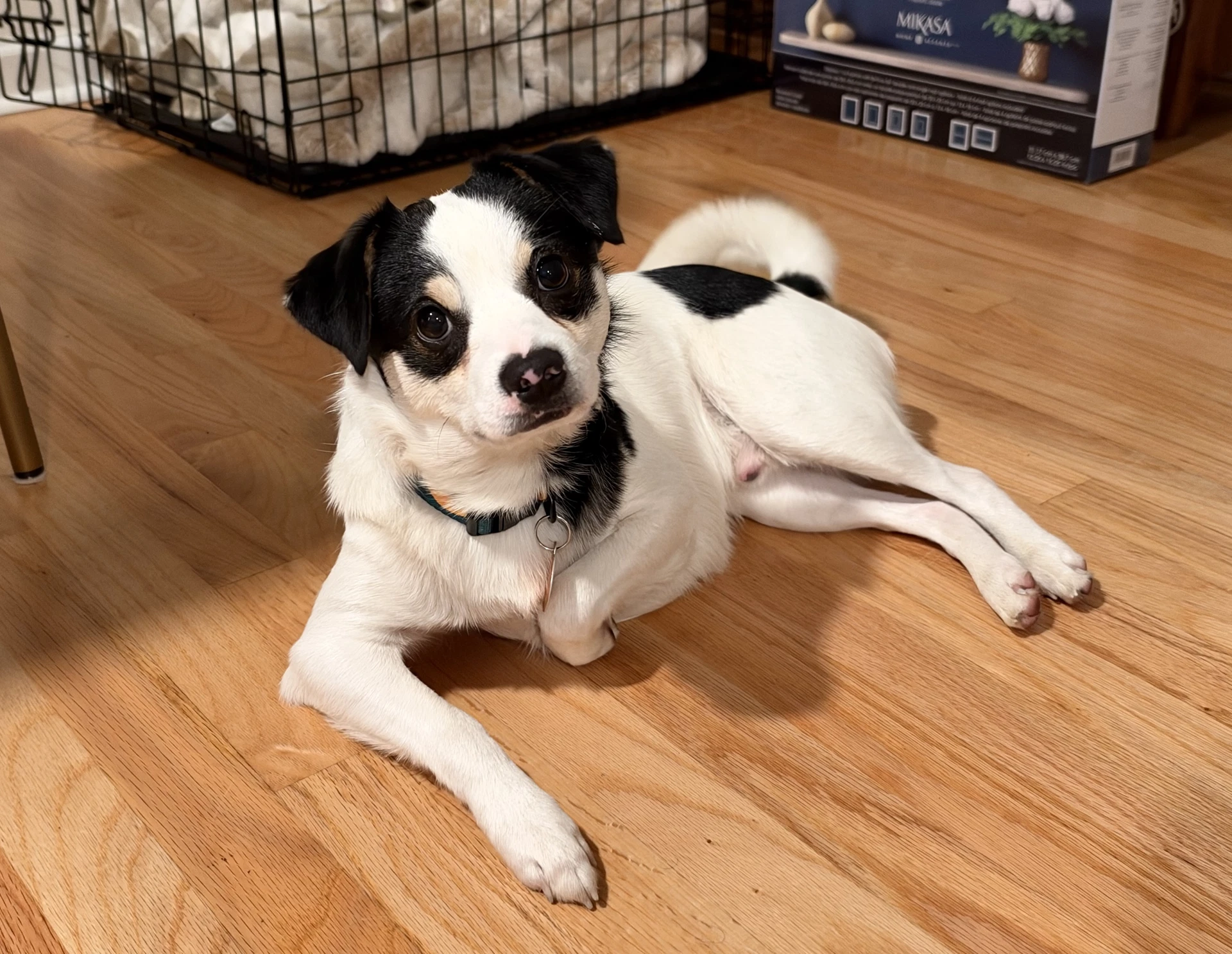 Sid