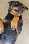 Sweetie - Photo 4