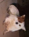 Isaac - Photo 3