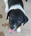 Marty - Photo 3
