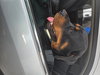 Ray - Photo 3