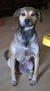 Albert - Photo 4