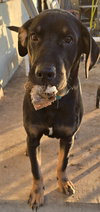 Lucas - Photo 4