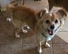 Jerry - Photo 3