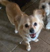 Jerry - Photo 4