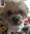 Andy - Photo 4