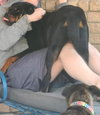 Bubbles - Photo 4