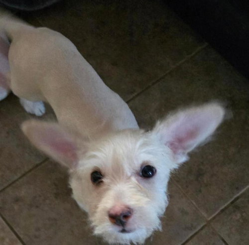 Photo 4 of Holly