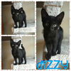 Duke, Miles, Nina, & Dizzy