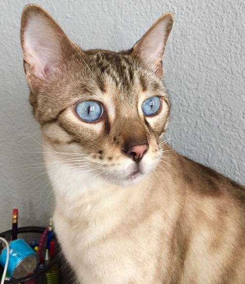 Casper