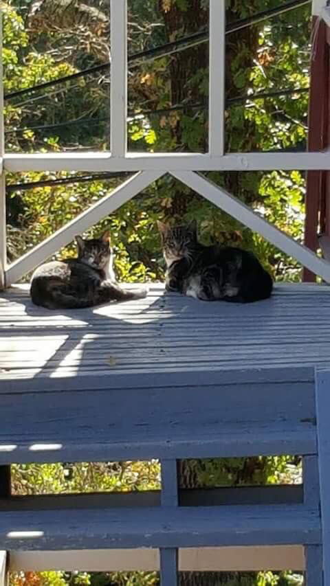 Dusty and Daisy