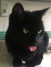 Lucy