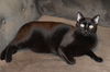 Fiona