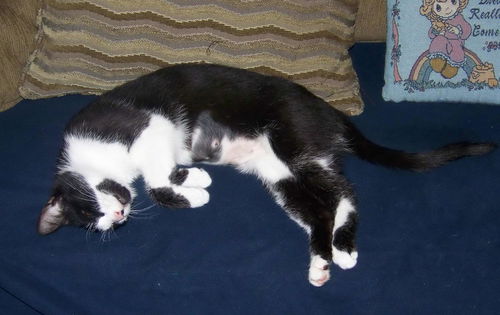 Piper and Cessna