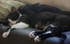 Piper and Cessna