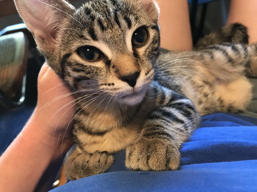 Mimi