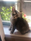 Aurelious (a.k.a Ari)
