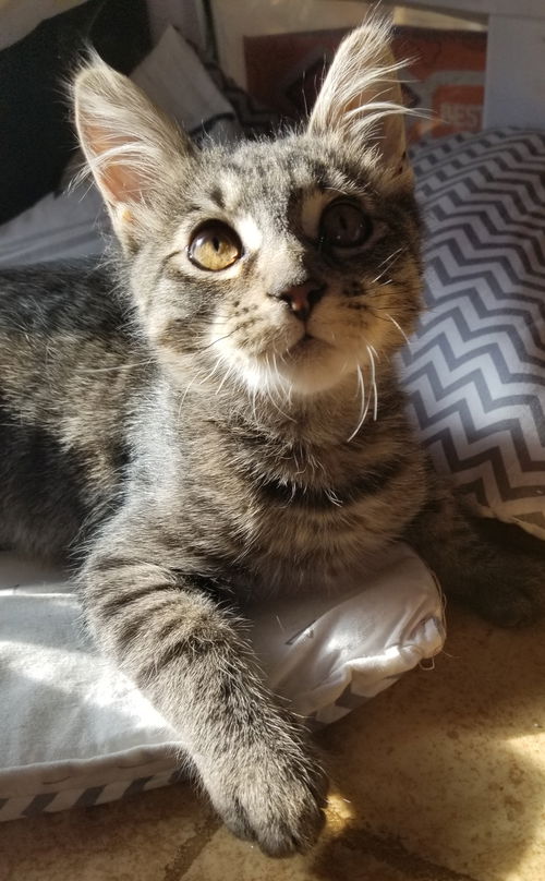 Max