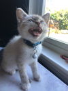 Parker