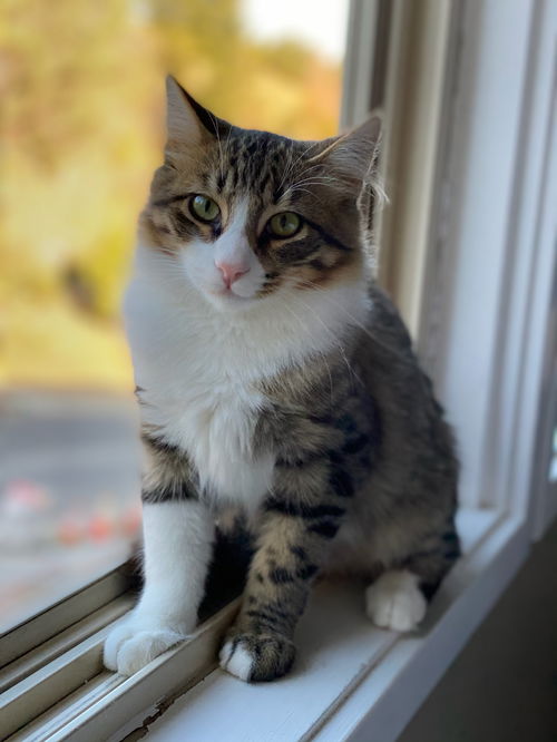 Winston