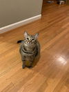 Roxie