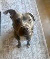 Tildy
