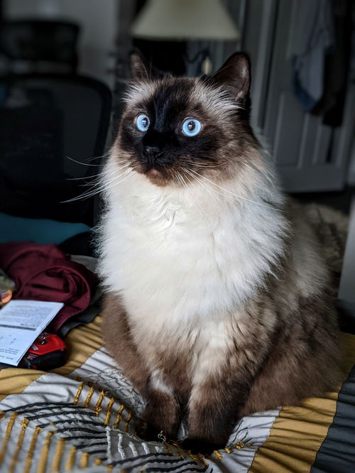Sammie