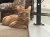 Rusty